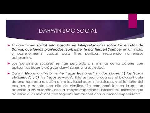 SOCIOLOGÍA 1: DARWINISMO SOCIAL