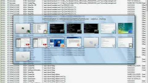 Black Hat DC 2010: Hacking Oracle 11g 4/5