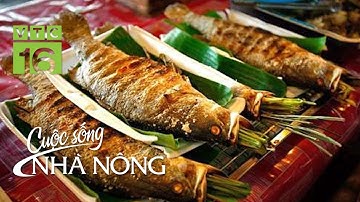 Cá nướng - Hương vị làng quê | VTC16
