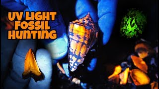 Minerals that Glow (Fluoresce) – WGNHS – UW–Madison