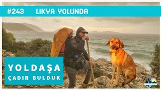 Yoldaşa Çadır Bulduk | LİKYA BÖLÜM :35 #81il81fidan #243