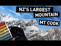 Soaring NZ's Tallest Mountain