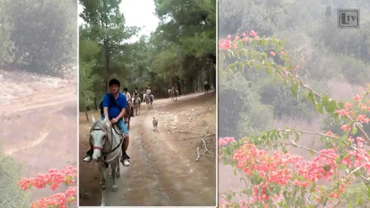 А я маленький ниже стремени - YouTube