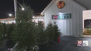 Live Christmas Tree Sales | December 16, 2024 | News 19 at 9 p.m.