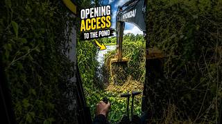Excavator vs Dense Vegetation | Operator View