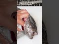 超高価1匹15,000円，台湾の希少な魚ツチホゼリ！ #刺し身 #ツチホゼリ #藍瓜石斑