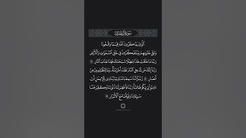 سورة آل عمران الآيات 191-193 ياسر الدوسري