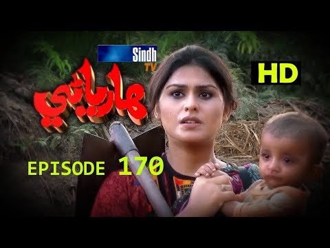 Hareyani Ep 170 -Sindh TV Soap Serial  - 19-1-2018 - HD1080p -SindhTVHD-Drama