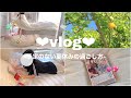 【 Vlog】高校生の予定のないとある1日/課題を終わらせて趣味を楽しむ💓✨