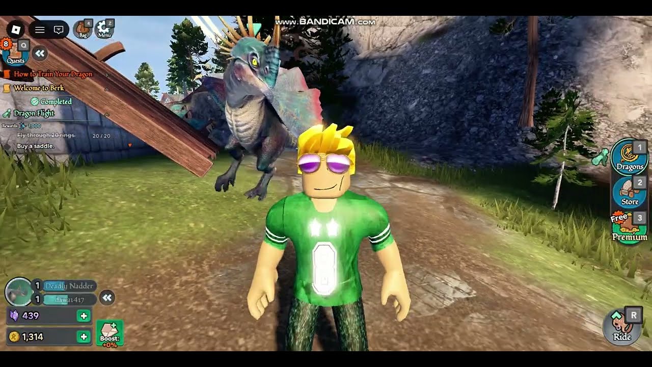 How to train your dragon