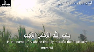 7_ سورة الكافرون \ القارئ الشيخ | رعد محمد الكاردي |