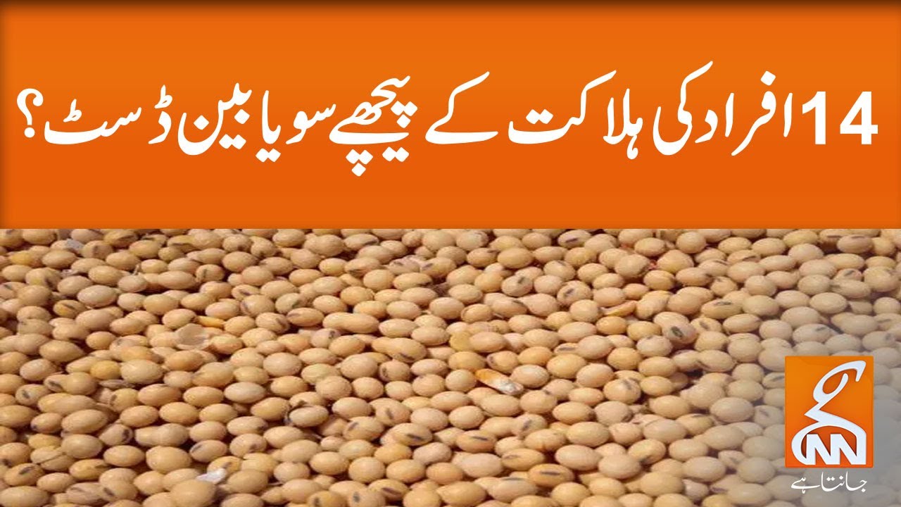 Was soybean dust a cause of 14 people death? GNN 18 February 2020