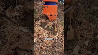 Bu Makine Kütüğü Toza Çeviriyor