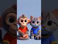 Cat and monkey friends forever,,