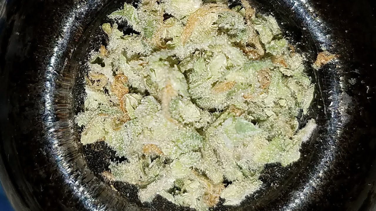 STRAIN REVIEW || PURPLE URKLE || $15 DOLLAR 8TH ||