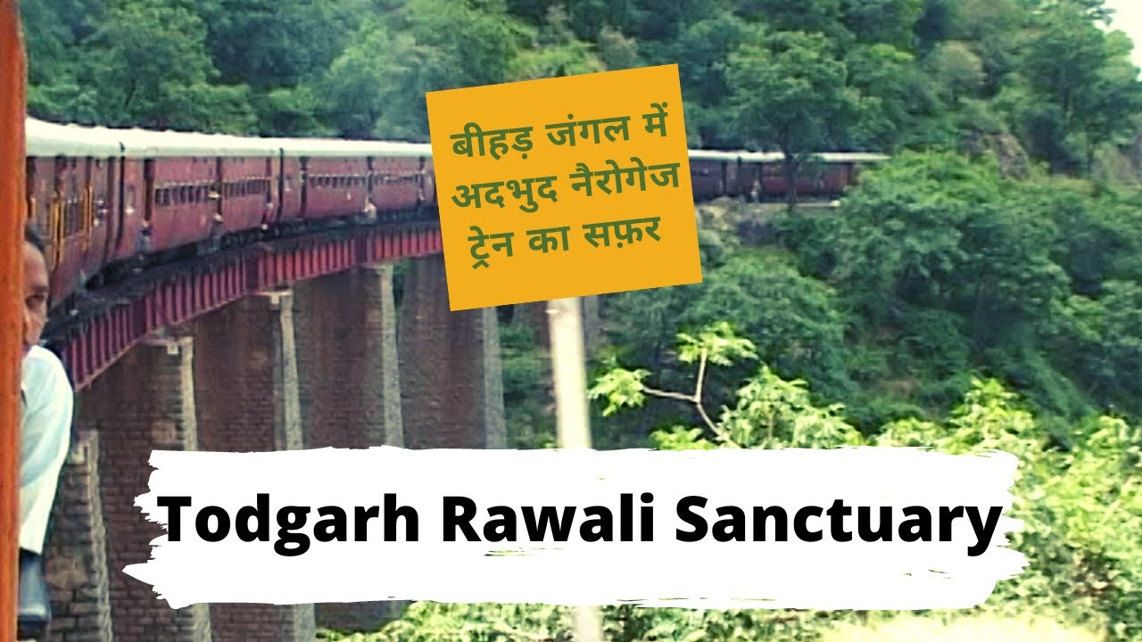 Eco destination Rawali Todgarh Sanctuary I Rajsamand I Rajasthan Dudhaleshwar Temple I Train Safari
