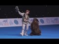 Репортаж о выставке World Dog Show 2016 в Москве