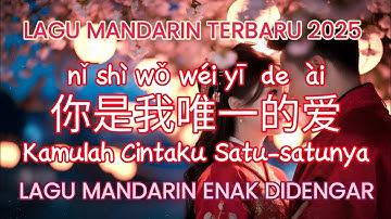 Ni Shi Wo Wei Yi De Ai 你是我唯一的爱 | Lagu Mandarin Terbaru 2025 | Lagu Mandarin Enak Didengar