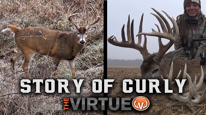 200"+ Kansas Buck - Largest Buck Taken with a Bow ...