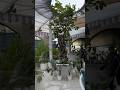 Short vlog of cafe exploring in kolkata || european themed cafe in kolkata #cafevibes #food #europe