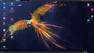How to install and Configure GoLand Integrated Development Environment on Parrot Security Linux