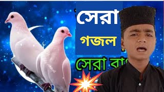 নতুন গজল l  শিশুদের গজল l কলিজা ঠান্ডা করা সুরে পৃথিবীর সেরা গজল l bangala new gojol