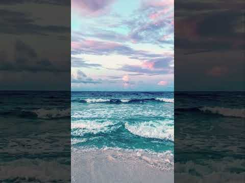 خلك بحر أصيل هميم 6 اكسبلور مساءالورد البحر اصيل هميم فولورز   