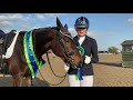 Petplan Equine Summer Area Festival Novice Bronze Champion - Sasha Good
