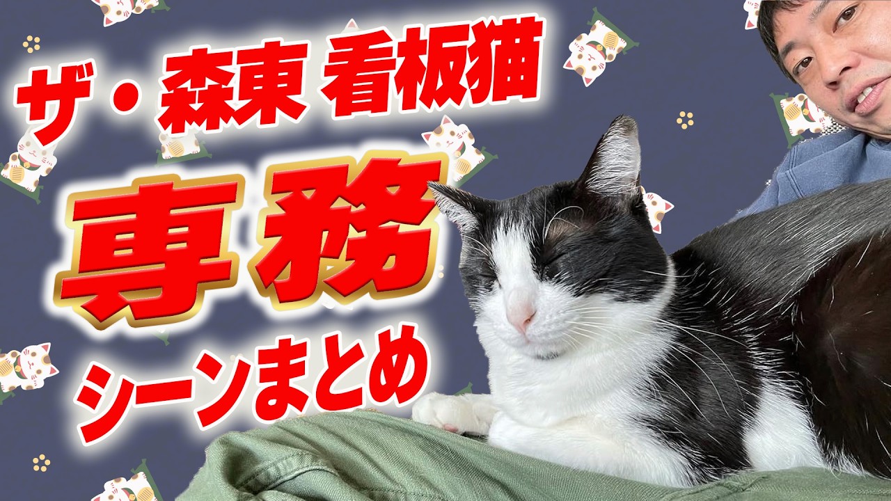 Cat Compilation] Saraba Seishun no Hikari and Cat Scenes: Managing