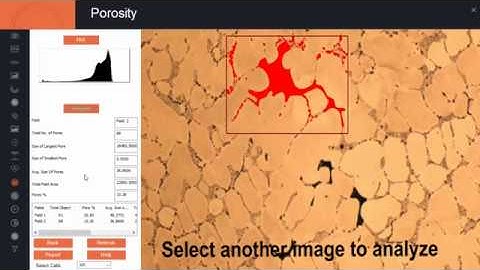 Pace Technologies: Image Analysis - Porosity