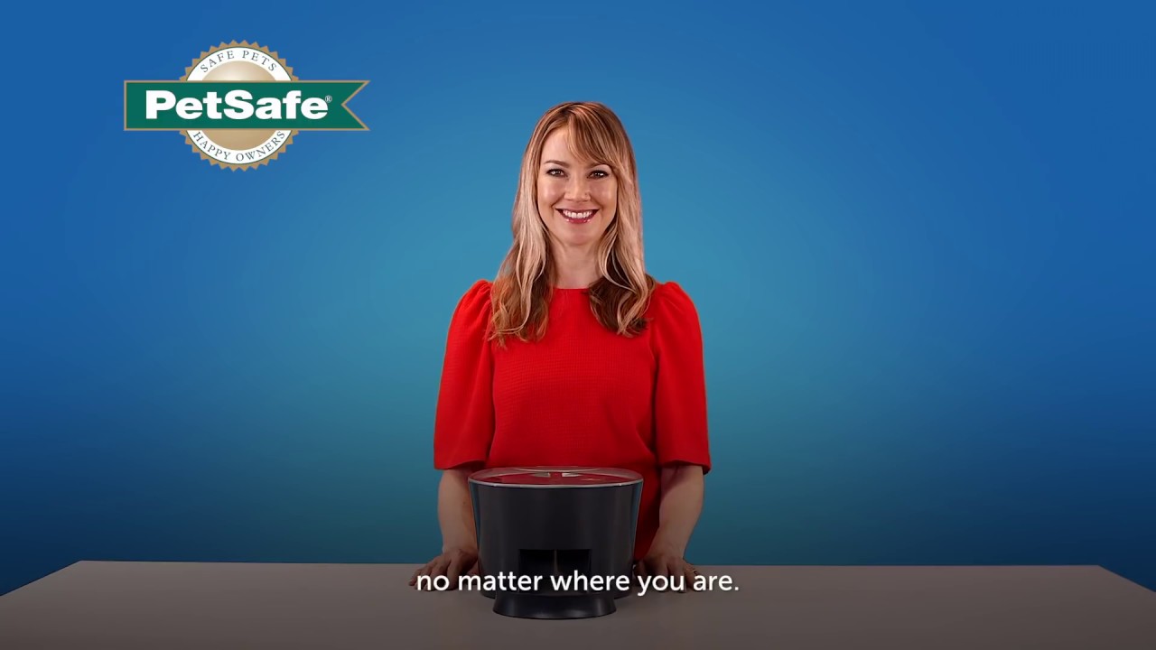 petsafe six meal automatic pet feeder