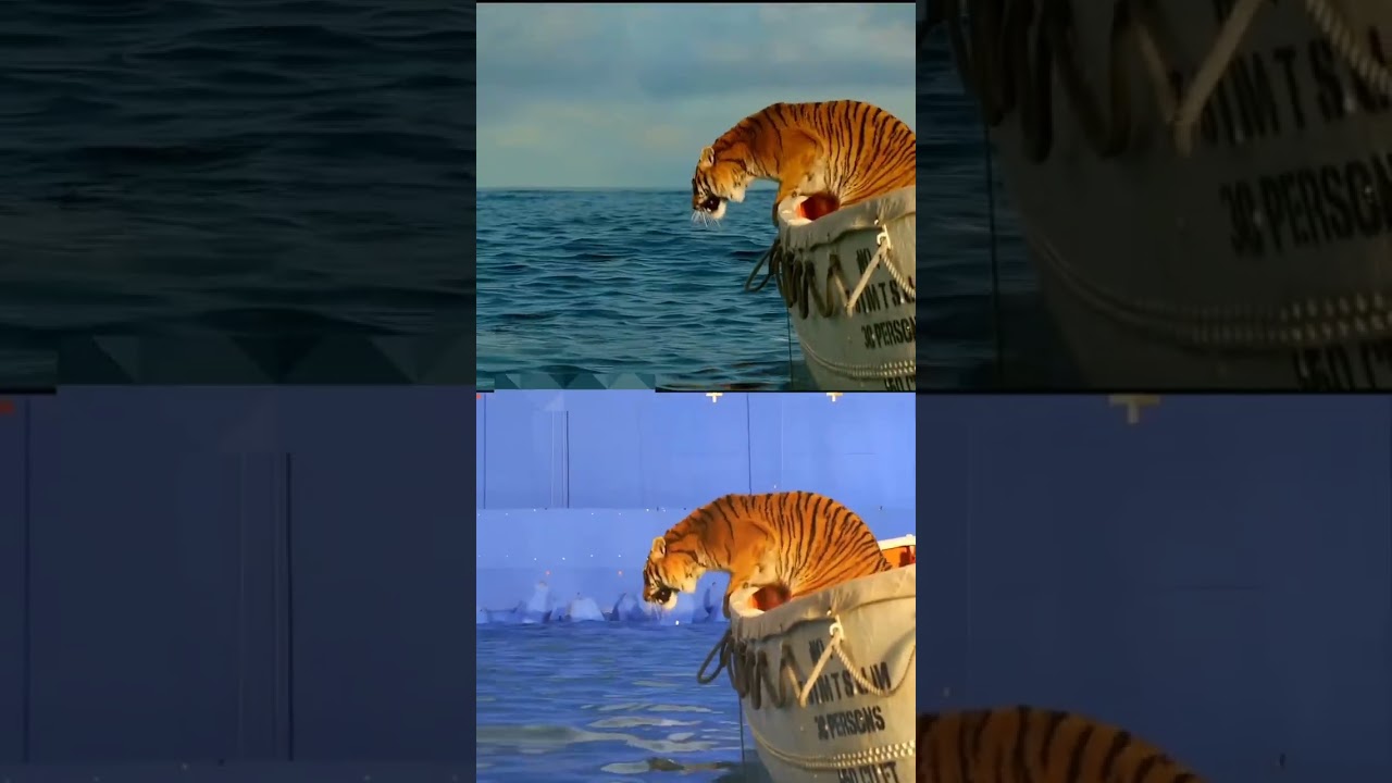 Pi'nin Yaşamı Filminin Kamera Arkası Çekim teknikleri 