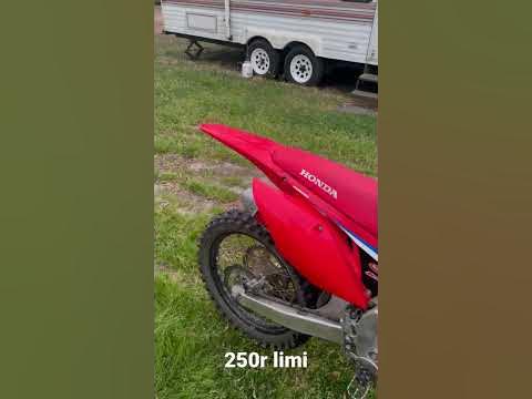 250 bark💪🦅🦅 - YouTube