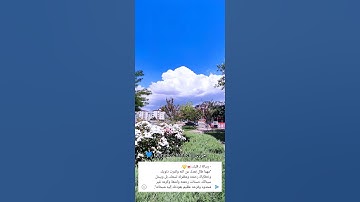القران الكريم ايات| بصوت الشيخ هزاع البلوشي| حالات واتس اب