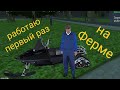 Первый раз на ферме работа дояра