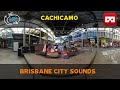 360 VR Life Footage Cachicamo at  City Sounds Brisbane