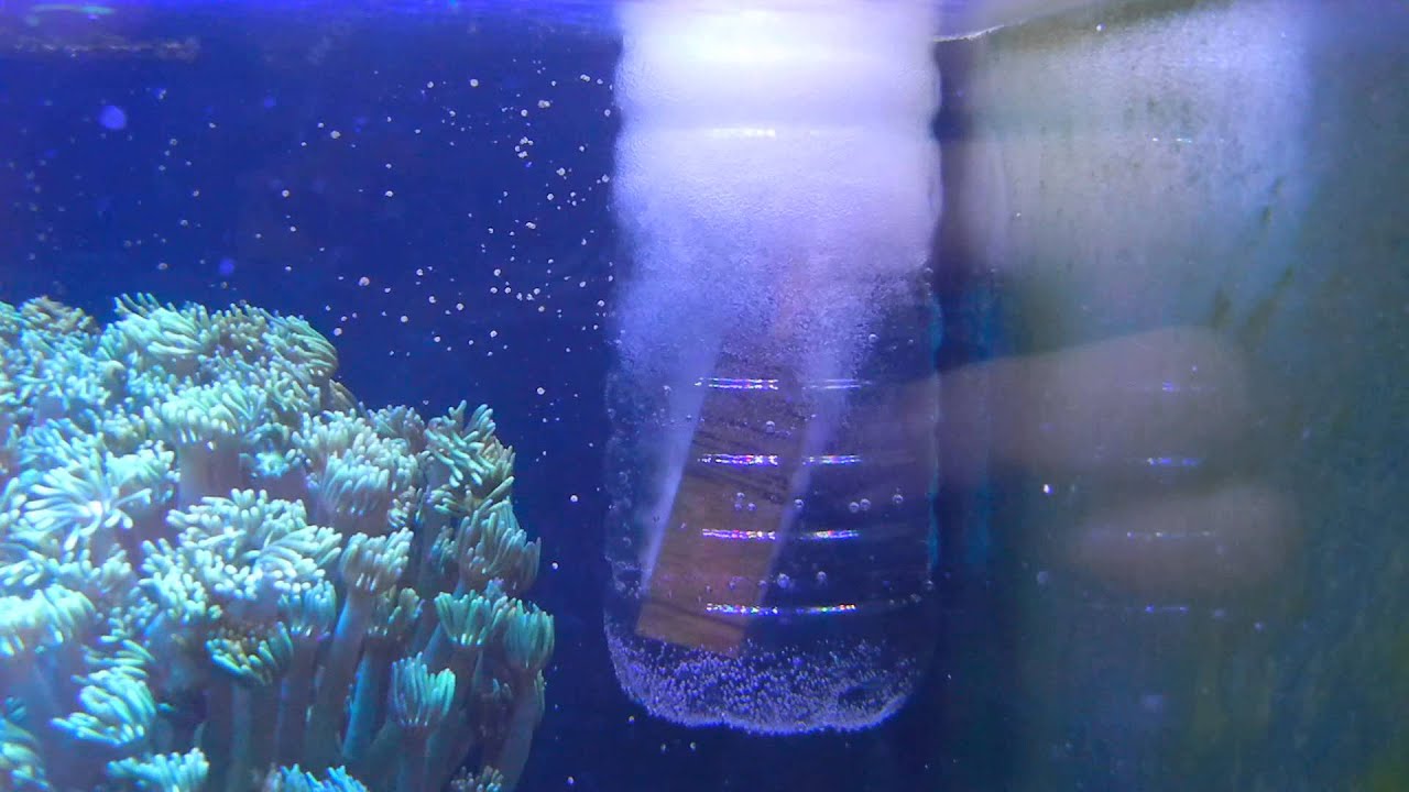 diy protein skimmer design