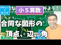 【オンライン授業】小学校５年生算数：合同な図形の対応する頂点、辺、角