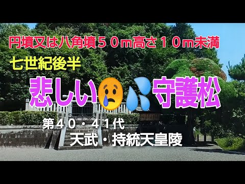 手ブレ有り　第40・41代 天武天皇・持統天皇陵　やっぱり寄ってしまう　飛鳥の玄関口　墳丘がよく見えるようになりました。おそらく牽牛子塚古墳のような　ピラミッド型の壮観な　装いを回想しながら・・