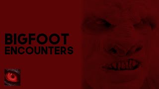 IT LOOKED TOO HUMAN - 6 TRUE SIGHTINGS OF BIGFOOT ENCOUNTERS - What Lurks Beneath