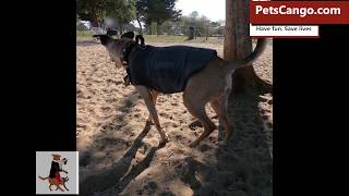 Lower washington park alameda ca -