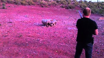 Shooting Exploding Targets