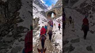 har har Mahadev 🌿🚩🙏#shortsfeed #ytshorts #song #love #yt #sorts #mahadev #mahakal #tranding