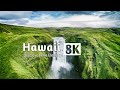 Hawaii in 8k ultra  discover the beauty