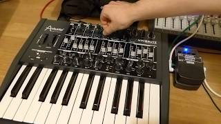 Arturia Minibrute & Behringer CC300 Chorus Space-C