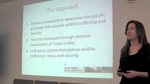 Security and Global Wildlife Conservation