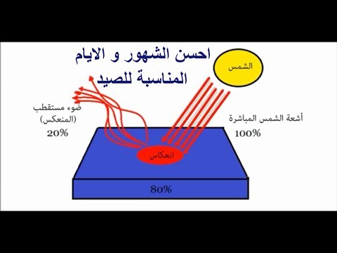 احسن الشهور و الايام المناسبة للصيد و أفضل الساعات التي ينشط فيها السمك