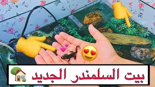 جهزت اجمل بيت للسلمندر  شكله طلع خرافي  و صارت مشكله مع السلمندر و السلحفاة  /  Mohamed Vlog