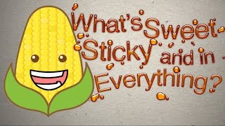 High Fructose Corn Syrup - Facts and Alternate Solutions - With Dr. Edward Group