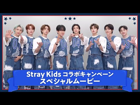 ㊗32.5万点達成！】Stray Kids × LIVE DAM AiR コラボキャンペーン